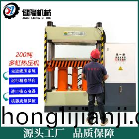 200噸伺(ci)服(fu)雙缸(gang)熱固成型液壓機